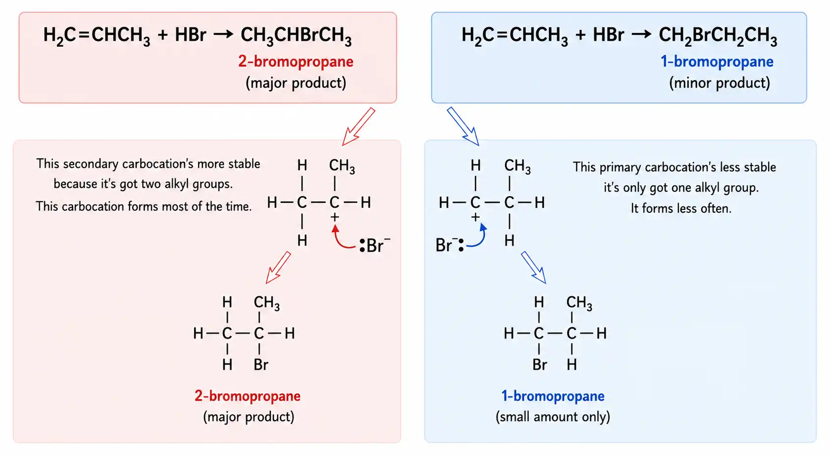 Carbocation stability and reaction pathways for hydrogen halide addition