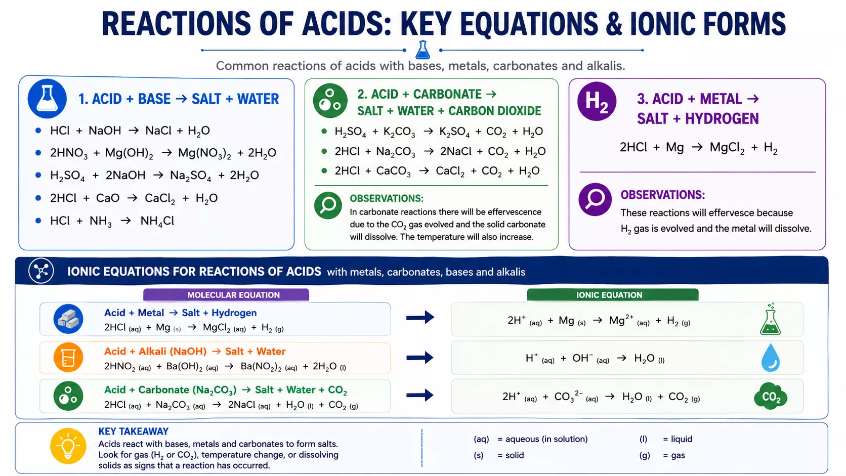 Summary infographic showing typical chemical reactions of acids