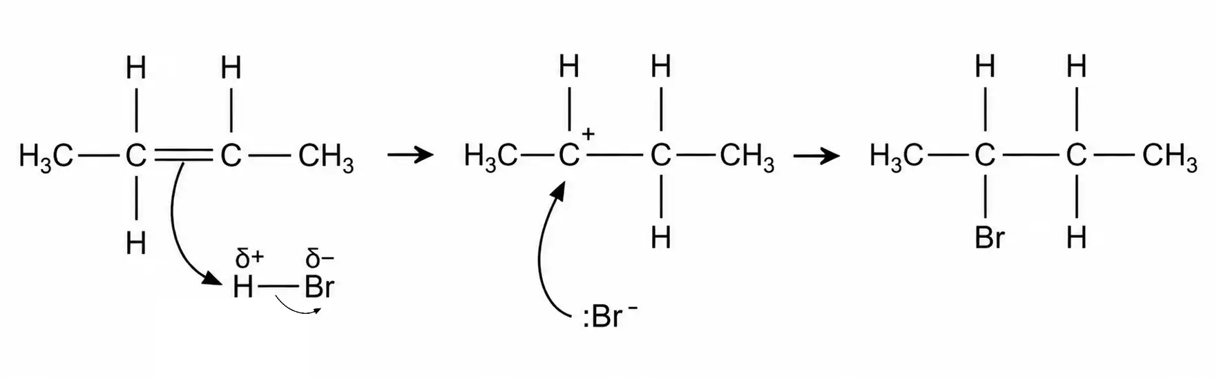 Electrophilic addition of 2-butene with hydrogen bromide