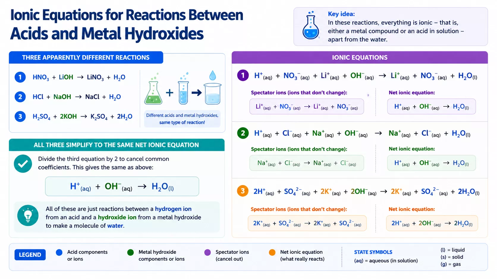 Ionic equations for reactions between acids and metals showing spectator ions