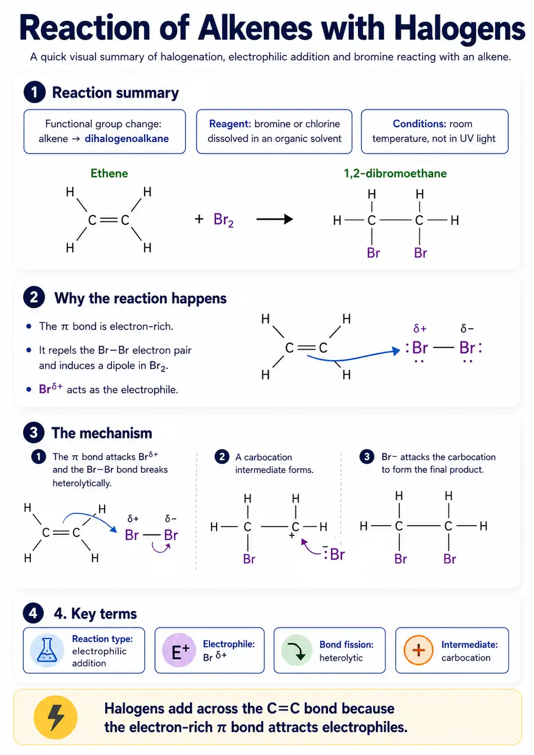 Alkenes react with halogens, forming compounds.