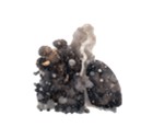Soot and particulate pollution.