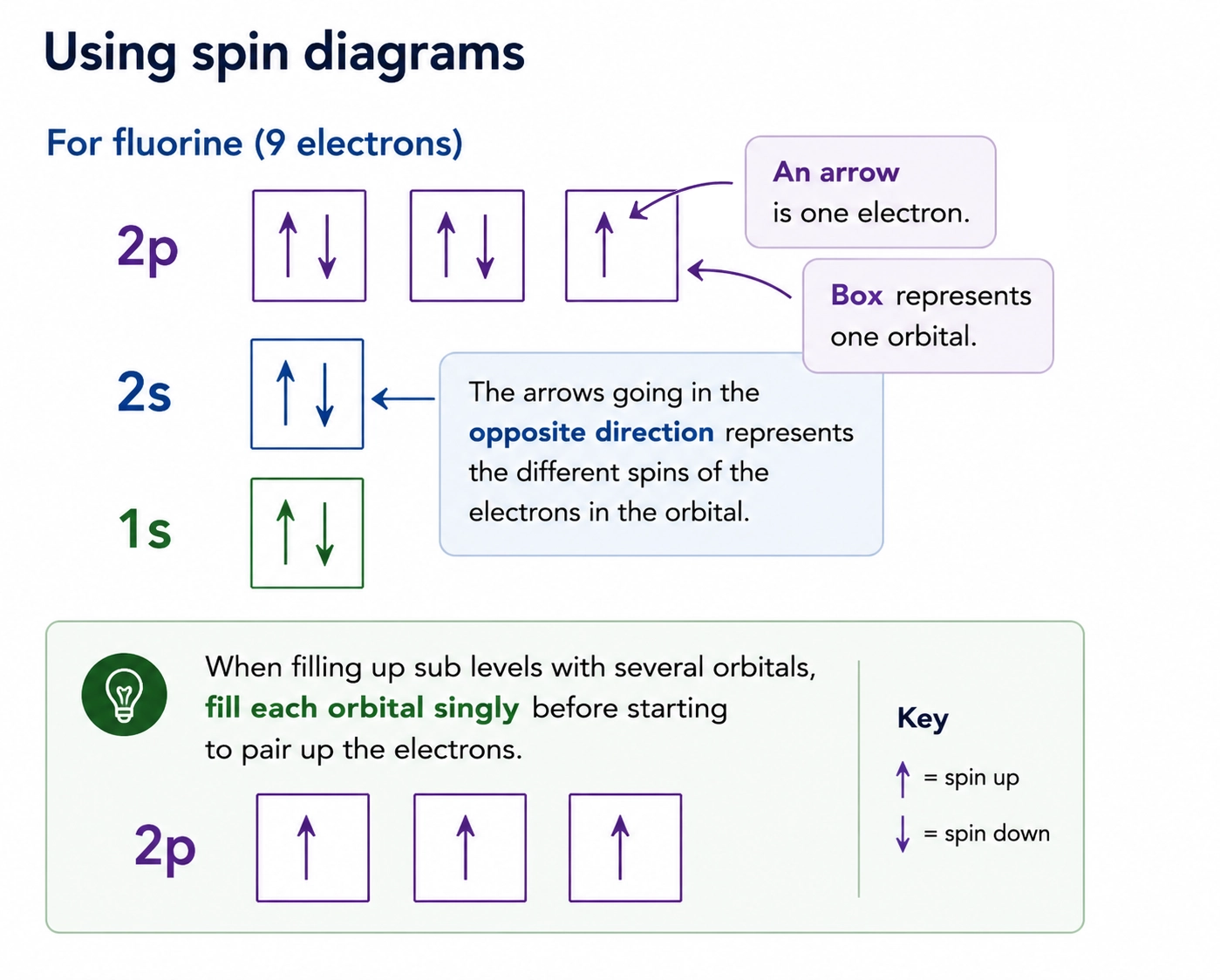 Spin diagram for fluorine showing paired and unpaired electrons