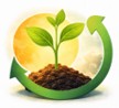Renewable plant growth image.