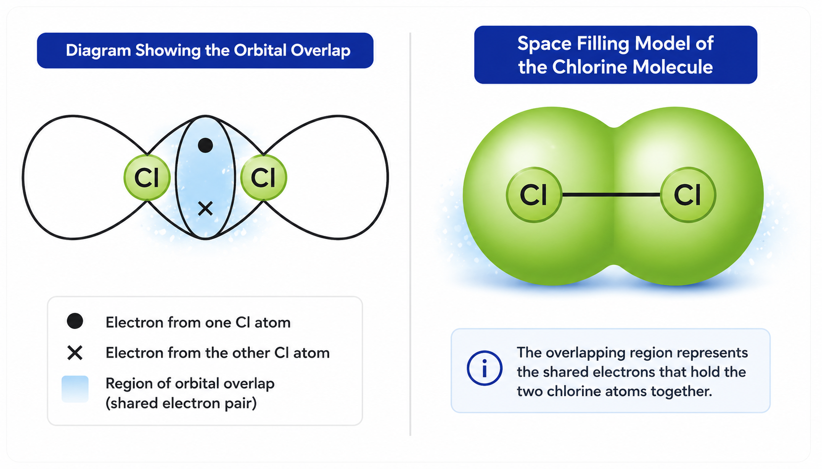 Chlorine molecule p orbital overlap and space filling model