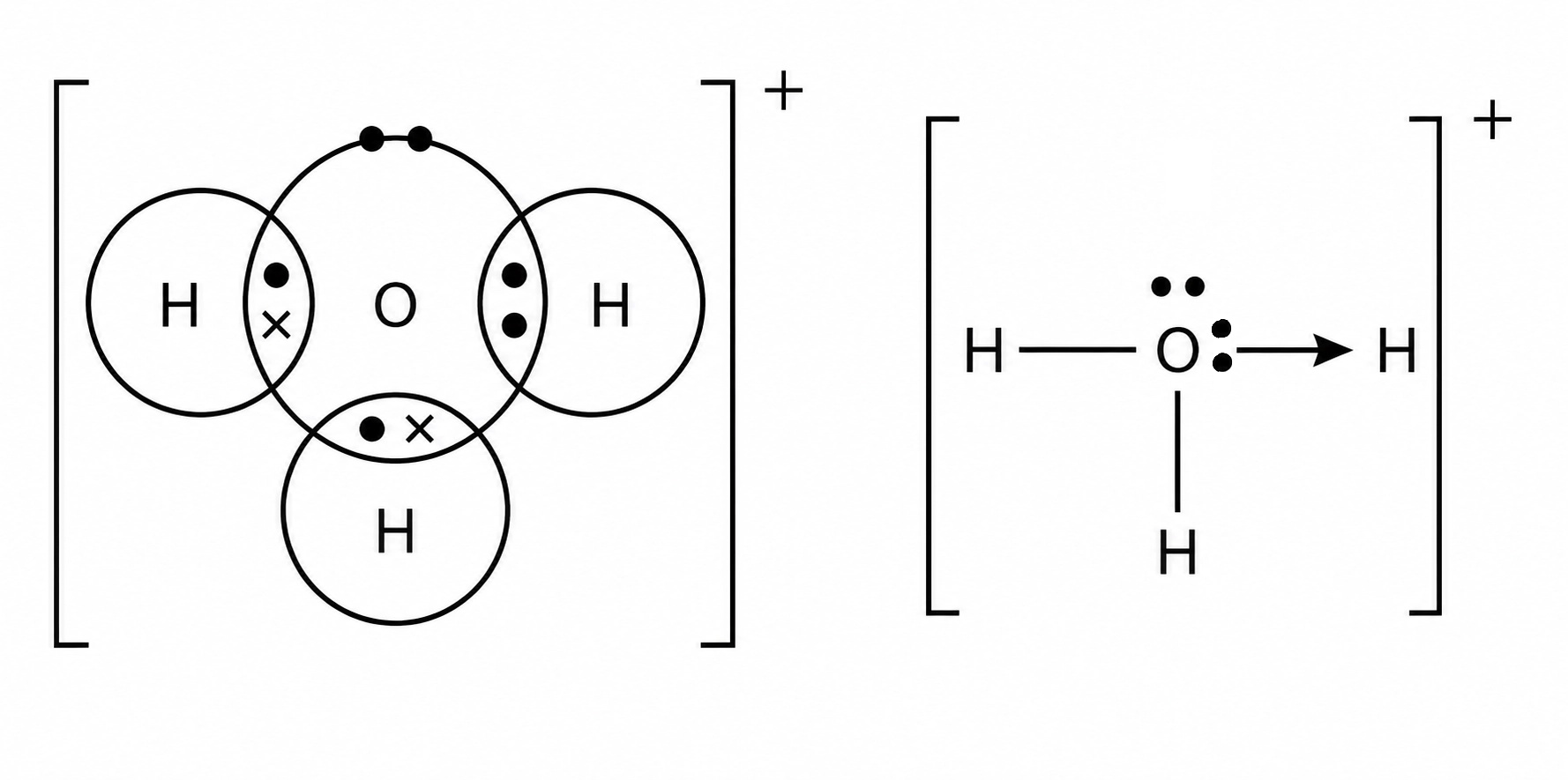 Hydronium ion formation showing oxygen donating a lone pair to hydrogen ion