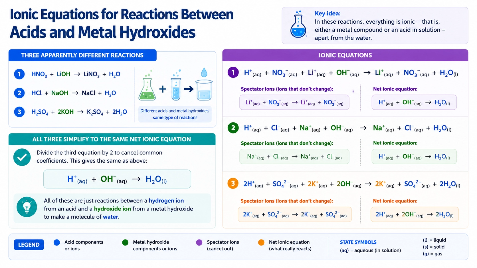Ionic equations for reactions between acids and metals showing spectator ions