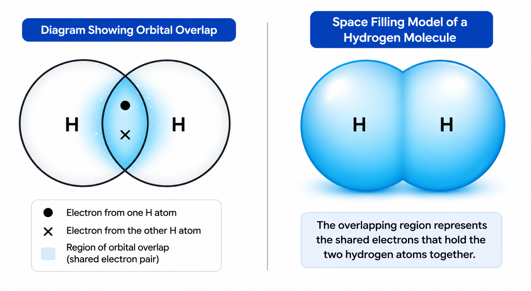 Hydrogen molecule orbital overlap and space filling model