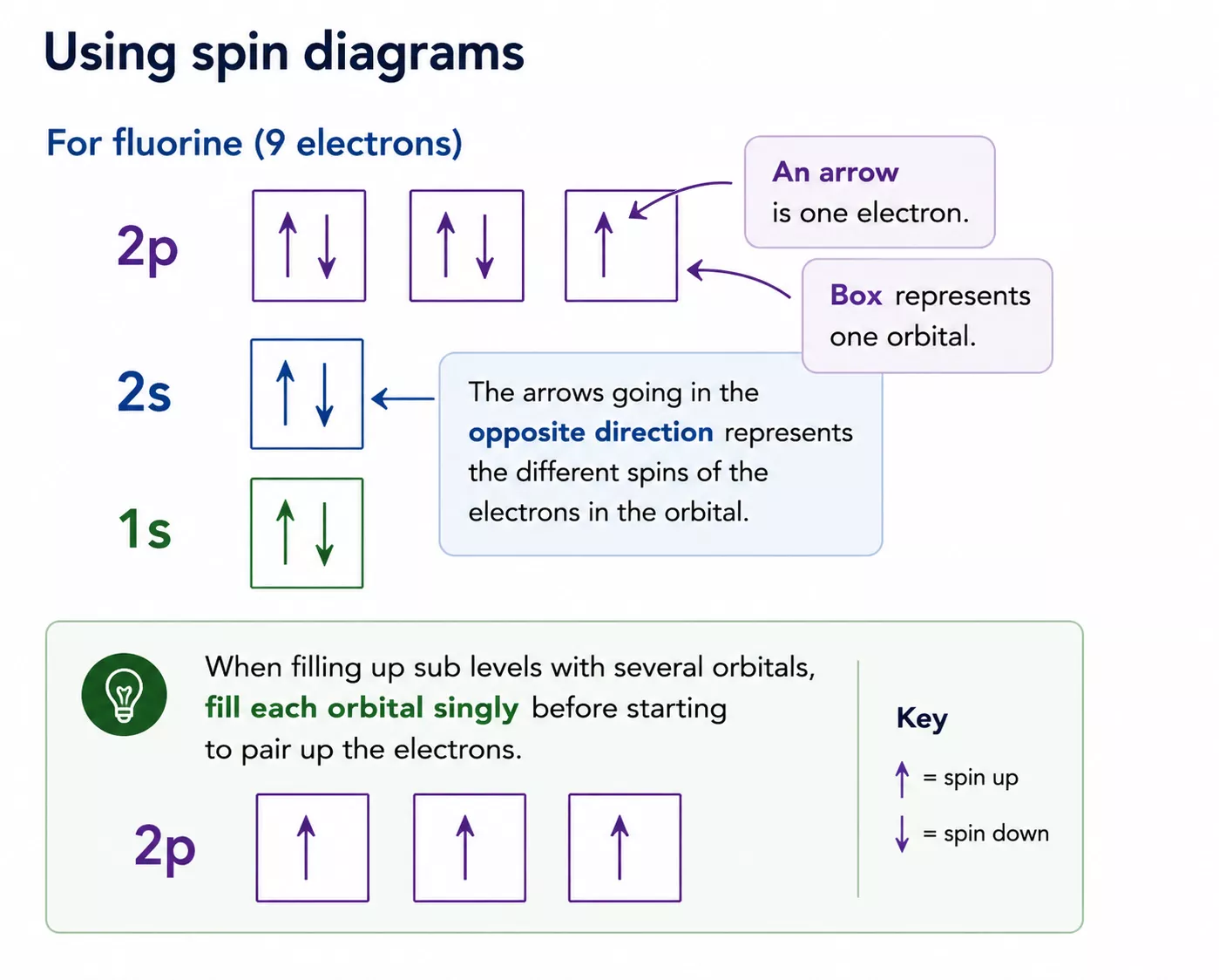 Spin diagram for fluorine showing paired and unpaired electrons