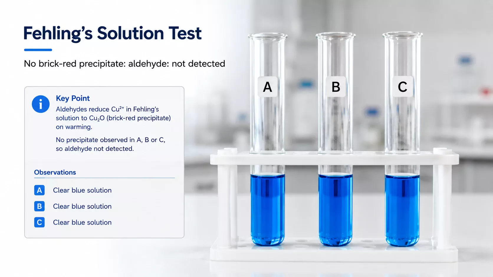 Fehling solution test showing no brick-red precipitate in the CP8 sample data