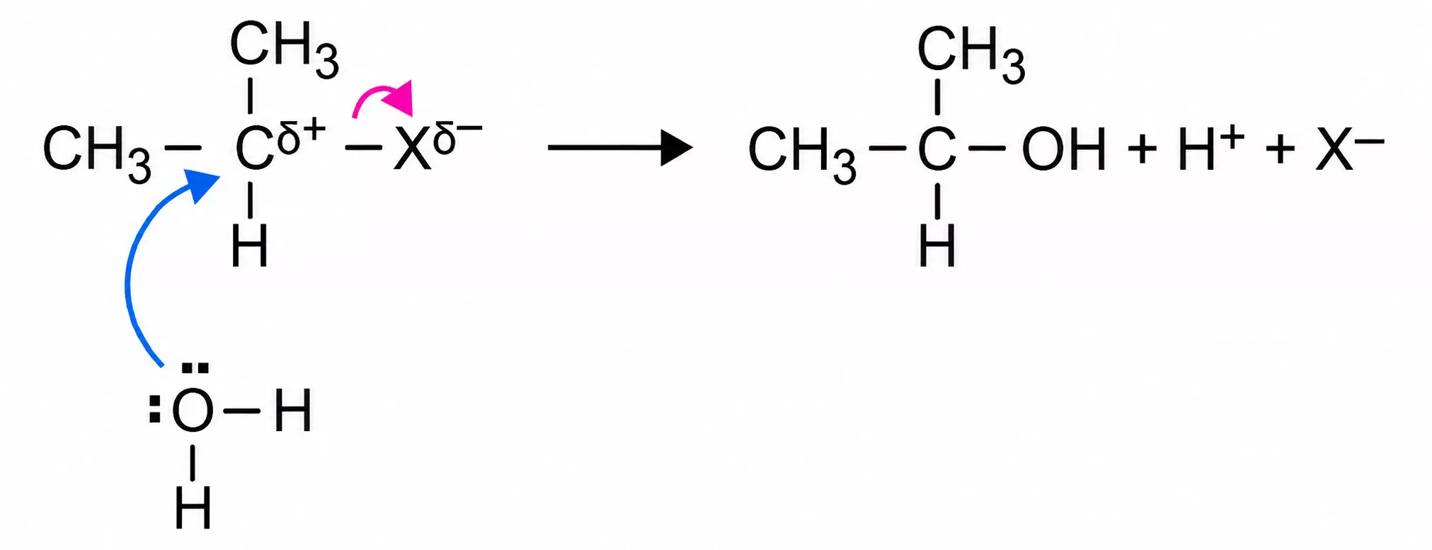 Mechanism of nucleophilic attack reaction showing water attacking the carbon bonded to a halogen in a halogenoalkane.