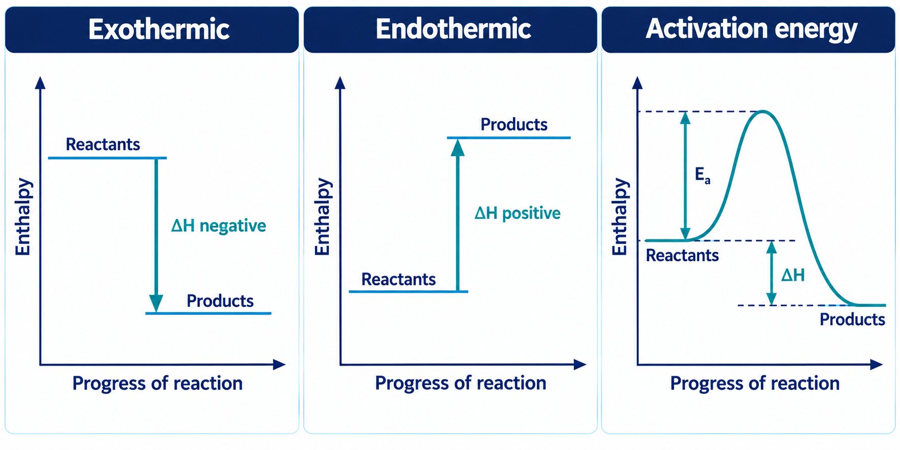 three panels: an exothermic reaction (products below, arrow down, ΔH negative), an endothermic reaction (products above, arrow up, ΔH positive) and a reaction profile curve with Ea and ΔH marked