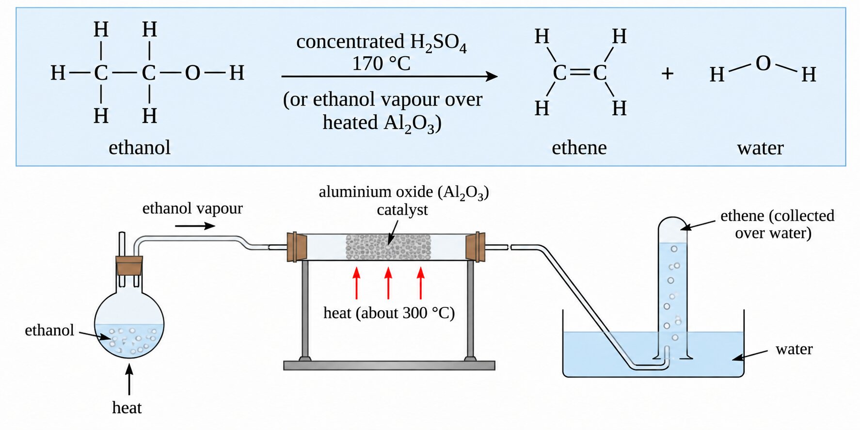Dehydration of ethanol to ethene over heated aluminium oxide, with the apparatus used to collect the ethene