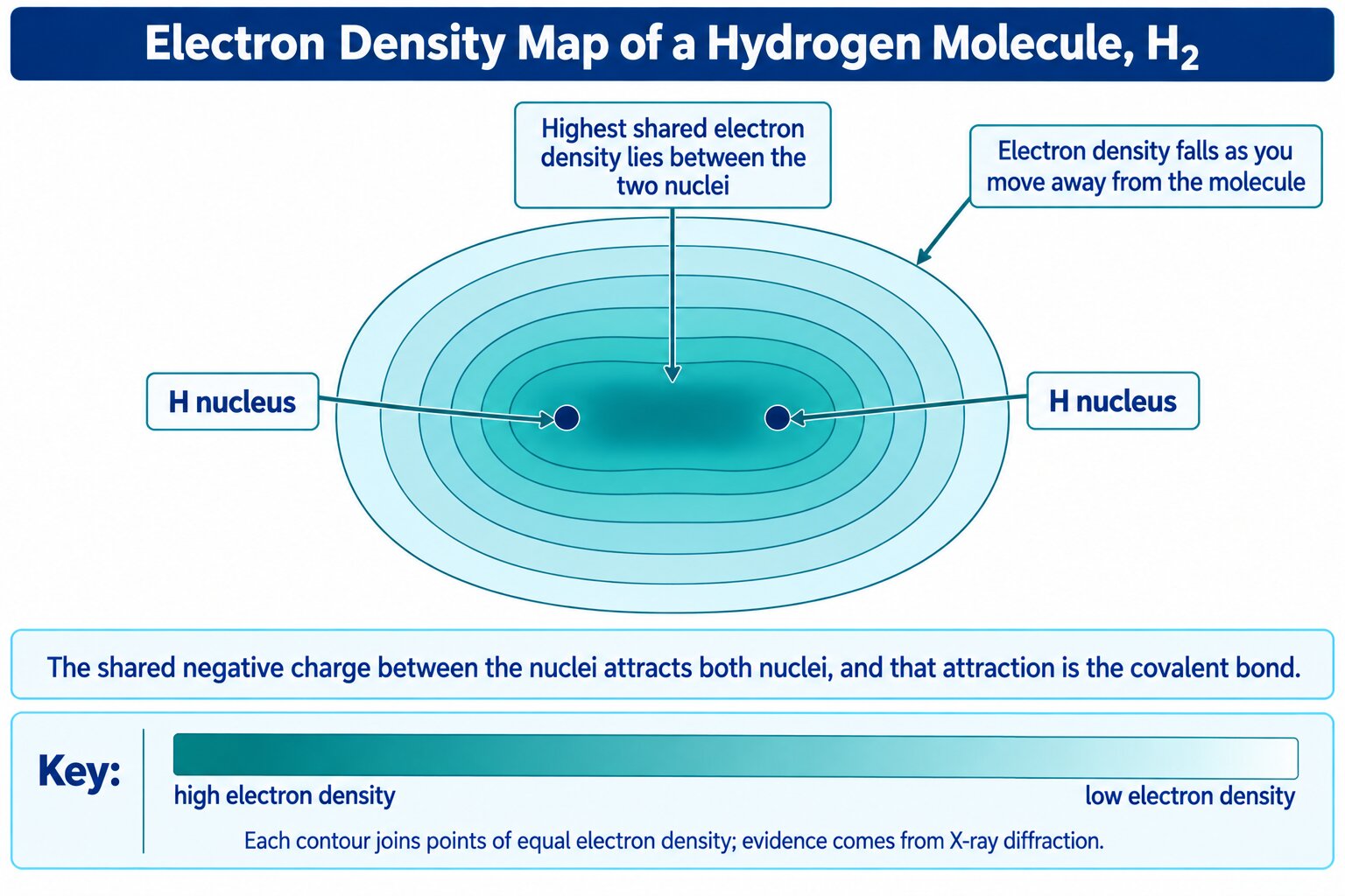 Electron density contour map of a hydrogen molecule, showing shared electron density between the two nuclei.