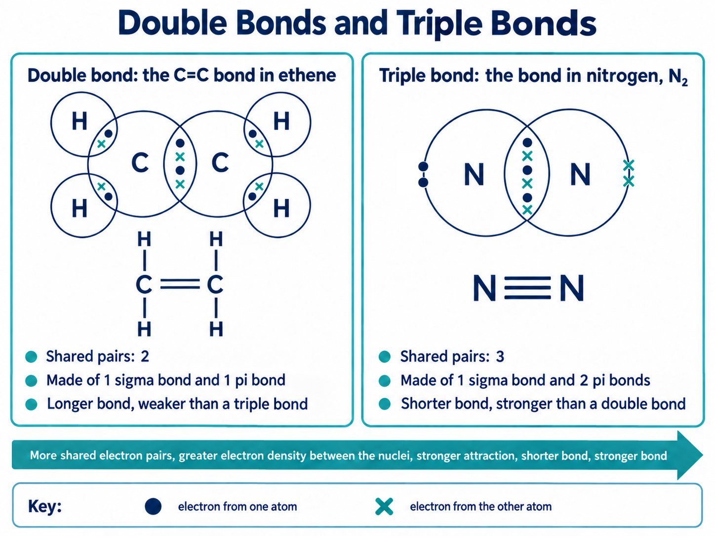Double bond against triple bond: shared pairs, bond length and bond strength compared for ethene and nitrogen.