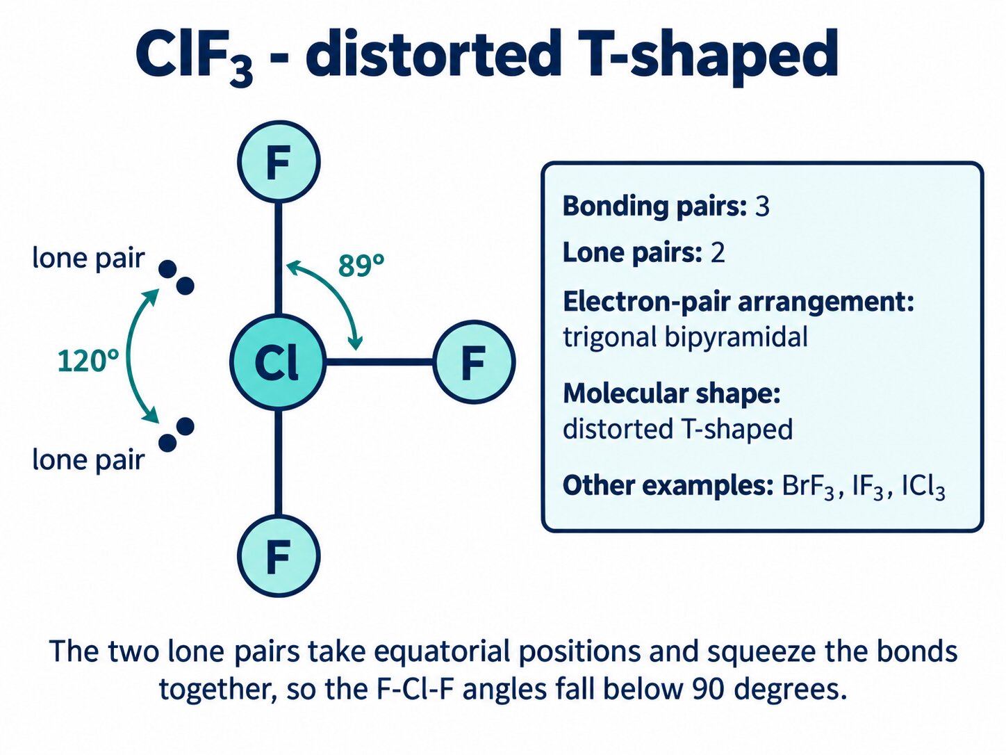 Labelled ClF₃ distorted T-shape with two equatorial lone pairs and 89 degree angles