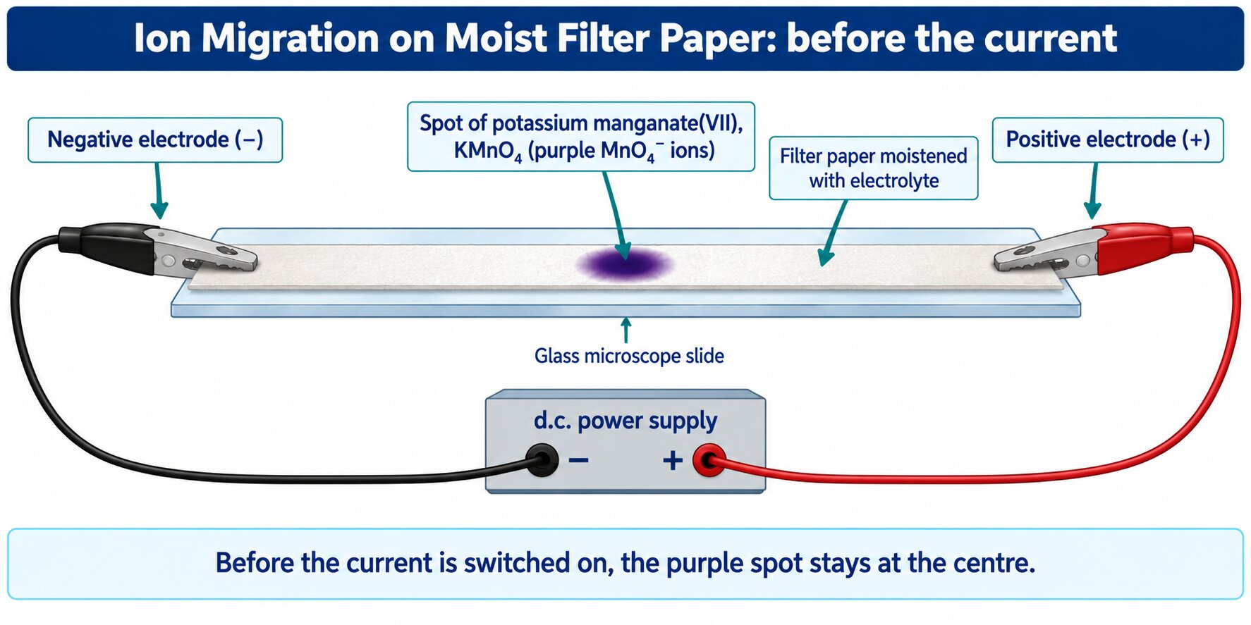 Ion migration on moist filter paper: a purple potassium manganate(VII) spot at the centre before the current is switched on.