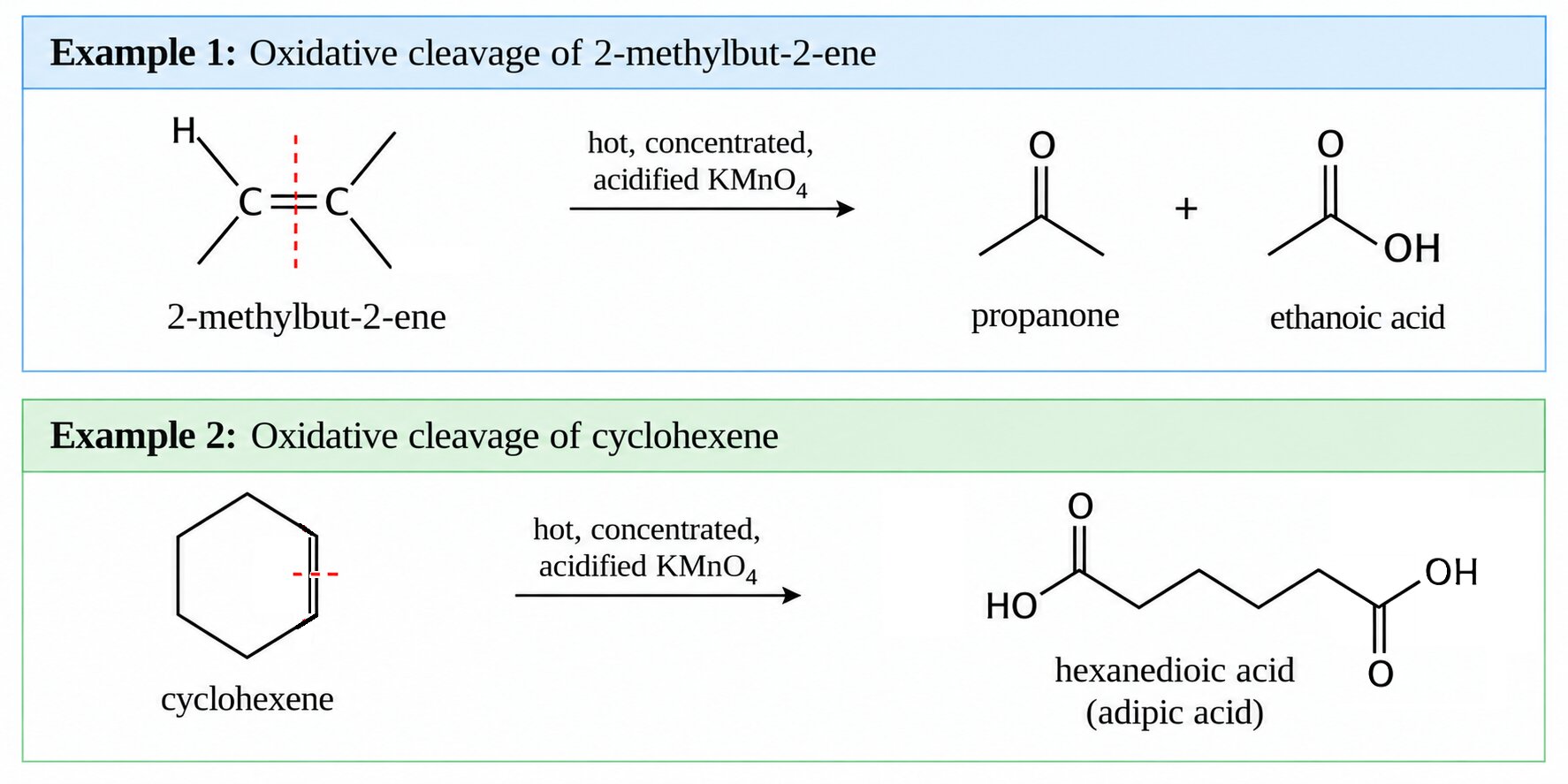 Worked examples of oxidative cleavage: 2-methylbut-2-ene giving propanone and ethanoic acid, and cyclohexene giving hexanedioic acid