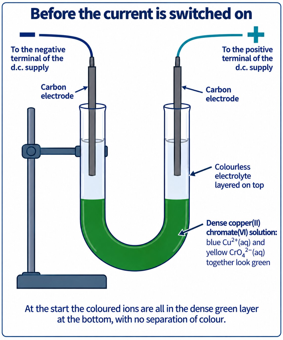 Flat vector U-tube of dense green copper(II) chromate(VI) under a colourless electrolyte with carbon electrodes, before the current is switched on