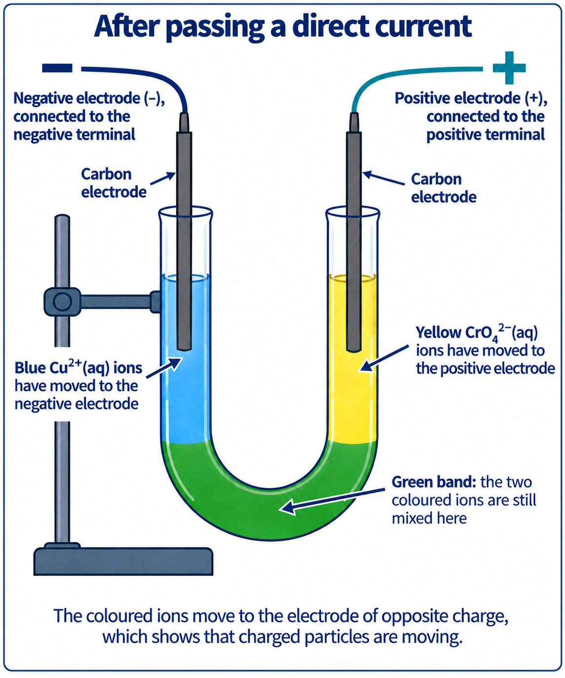 Flat vector U-tube after electrolysis: blue copper ions at the negative electrode, yellow chromate ions at the positive electrode, green band left at the bend