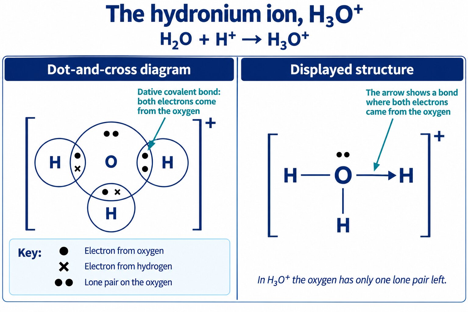 Hydronium ion shown twice: a dot-and-cross diagram with the dative pair keyed, and a displayed structure with one lone pair and a dative arrow to the third H