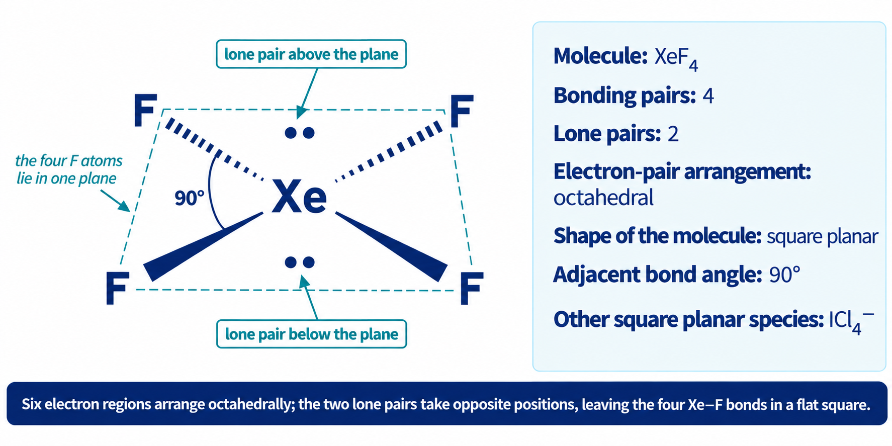 Square planar XeF₄ with all four F atoms labelled, the 90° angle marked and the two lone pairs named