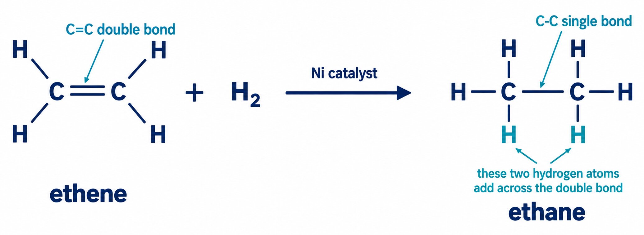 Displayed equation for ethene + H₂ over a nickel catalyst giving ethane, with the two added hydrogen atoms picked out