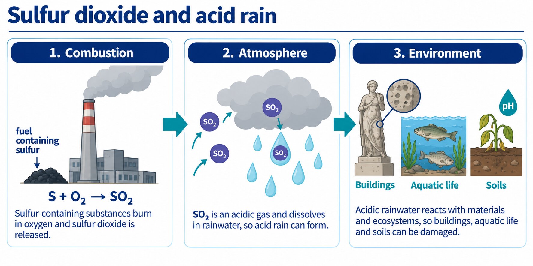 Three-stage flow: sulfur burns to SO₂, SO₂ dissolves in rain, acid rain damages stone, water life and soil