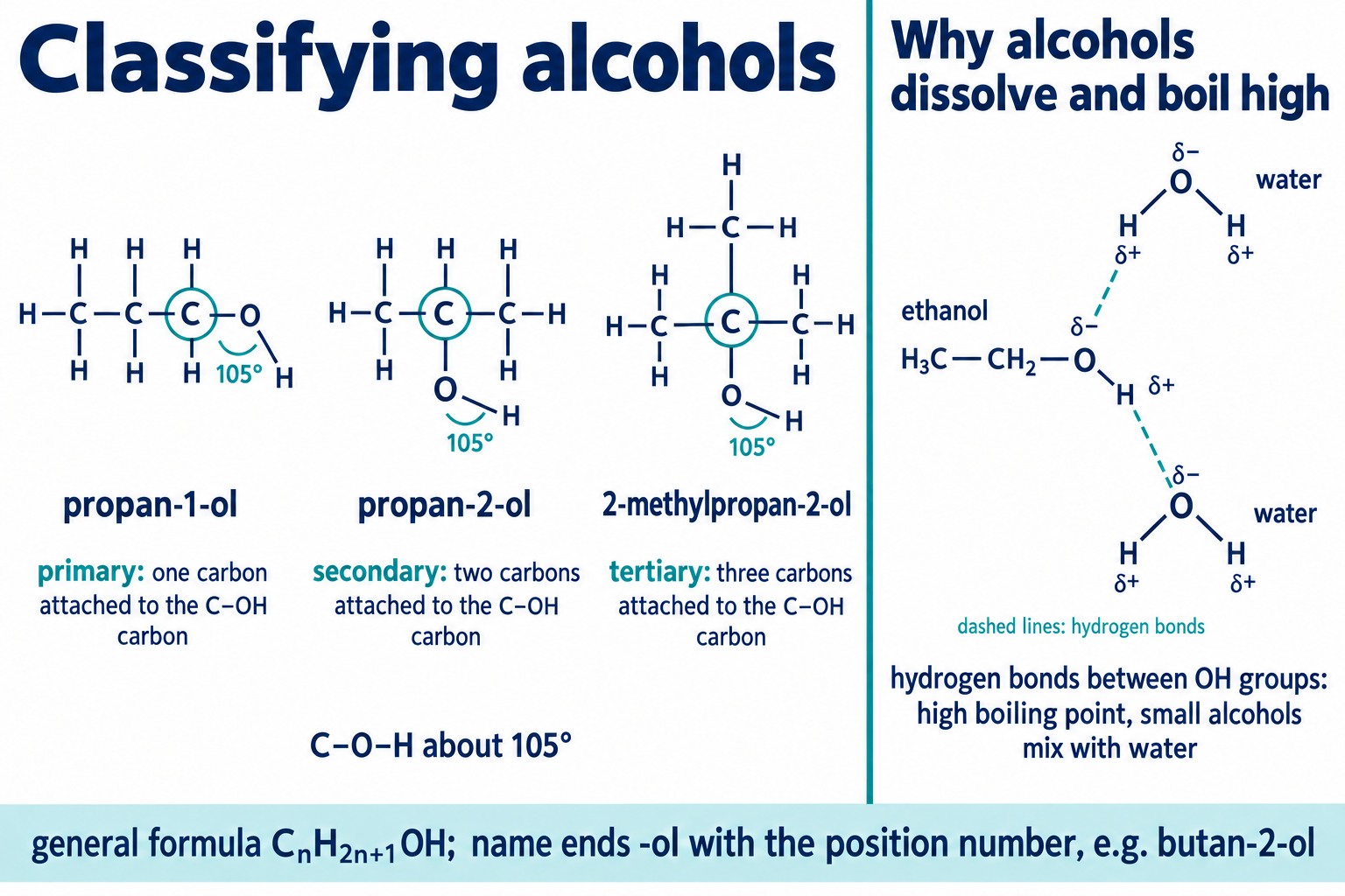 Primary, secondary and tertiary alcohols with the carbon carrying the OH circled, and hydrogen bonds between ethanol and water