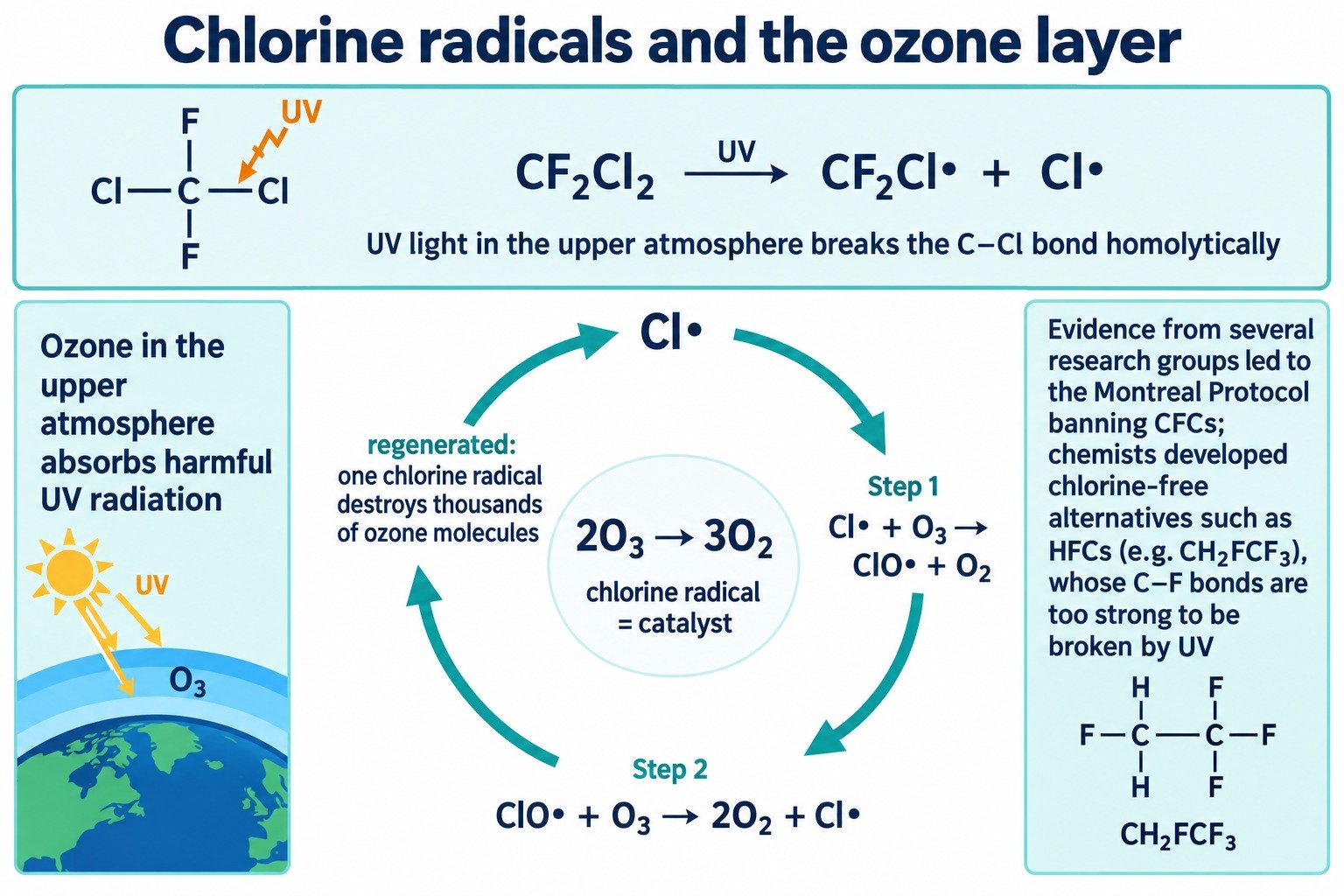 Chlorine radicals from CFCs catalysing the breakdown of ozone, with the evidence and chlorine-free alternatives