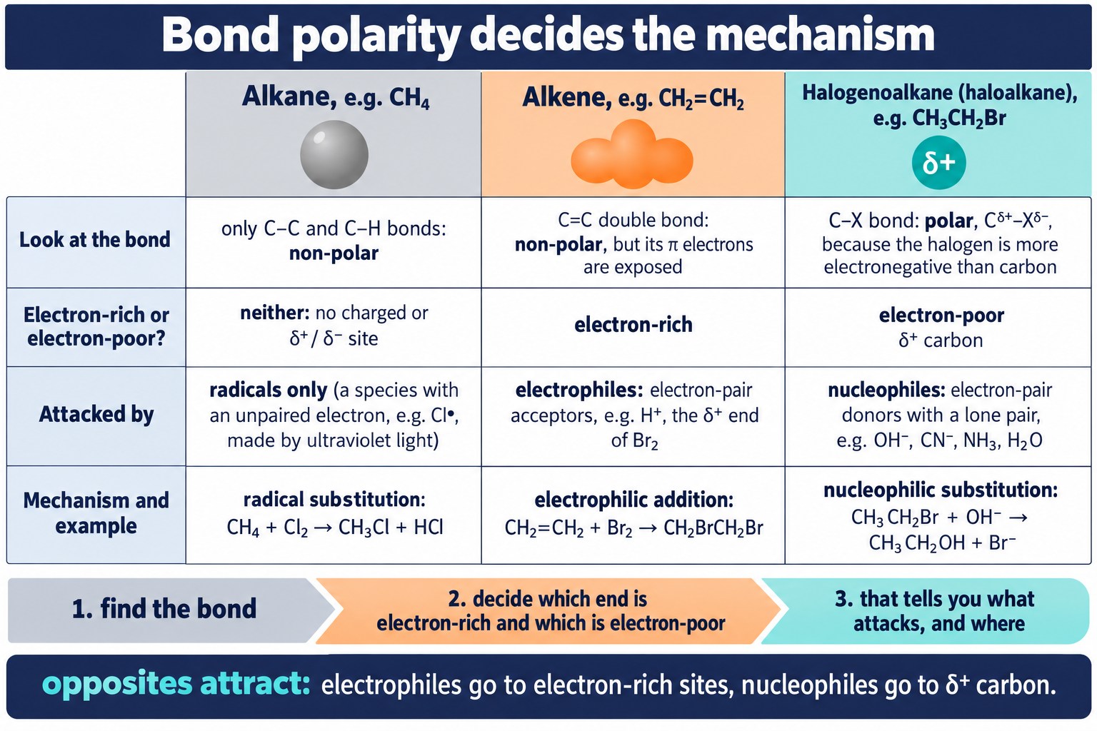 Three-column grid linking alkanes, alkenes and halogenoalkanes to radicals, electrophiles and nucleophiles.