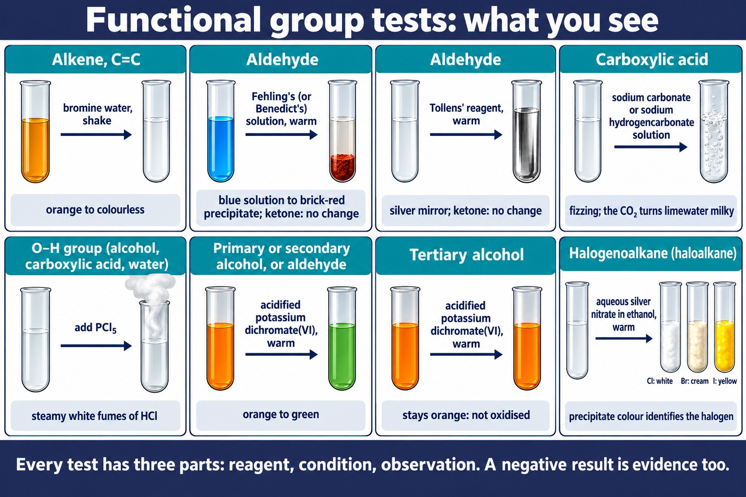 Grid of before-and-after test tubes for alkene, aldehyde, carboxylic acid, O–H group, alcohol and halogenoalkane tests.