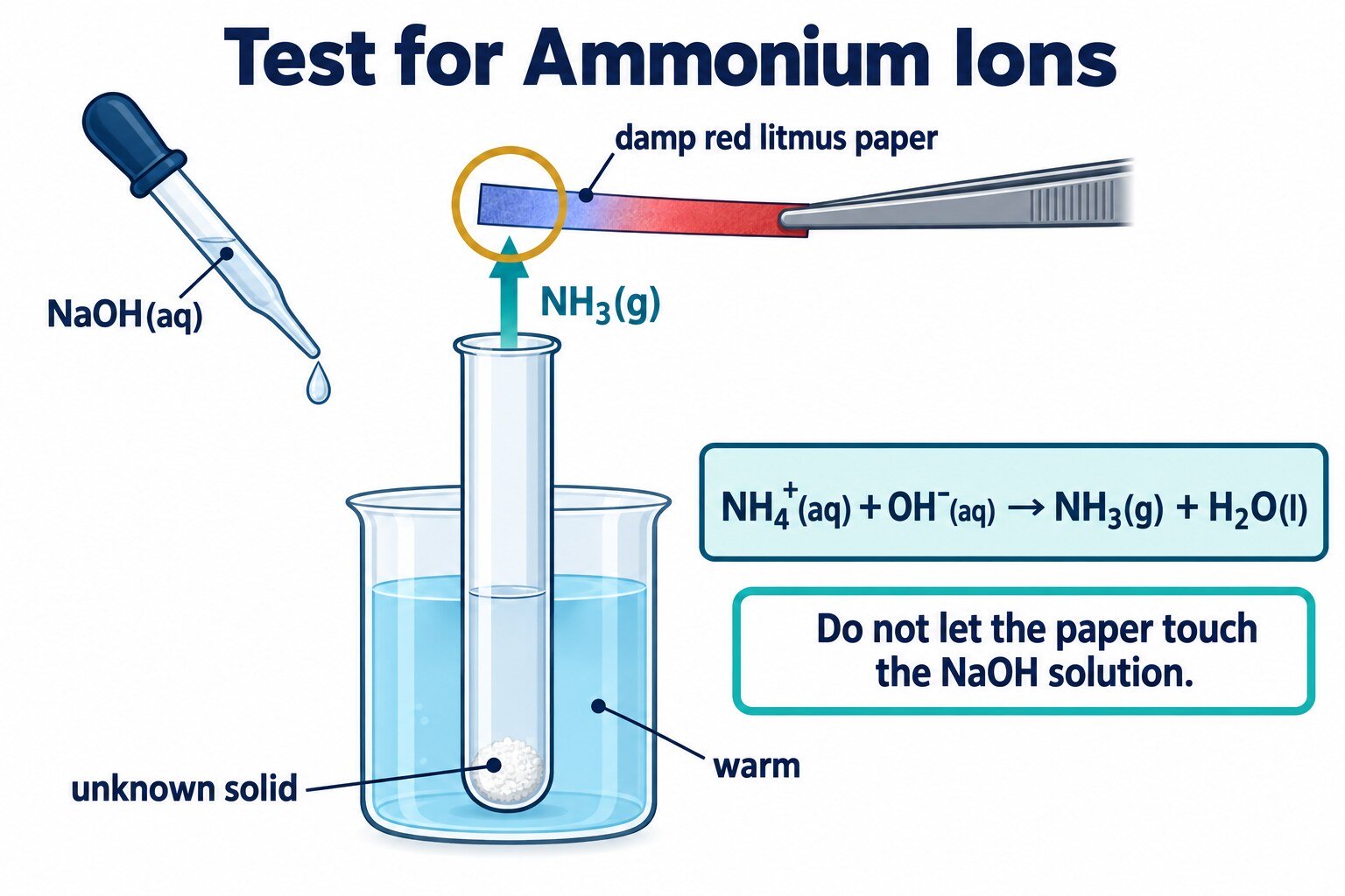 Ammonium ion test: warm with NaOH(aq), damp red litmus turns blue