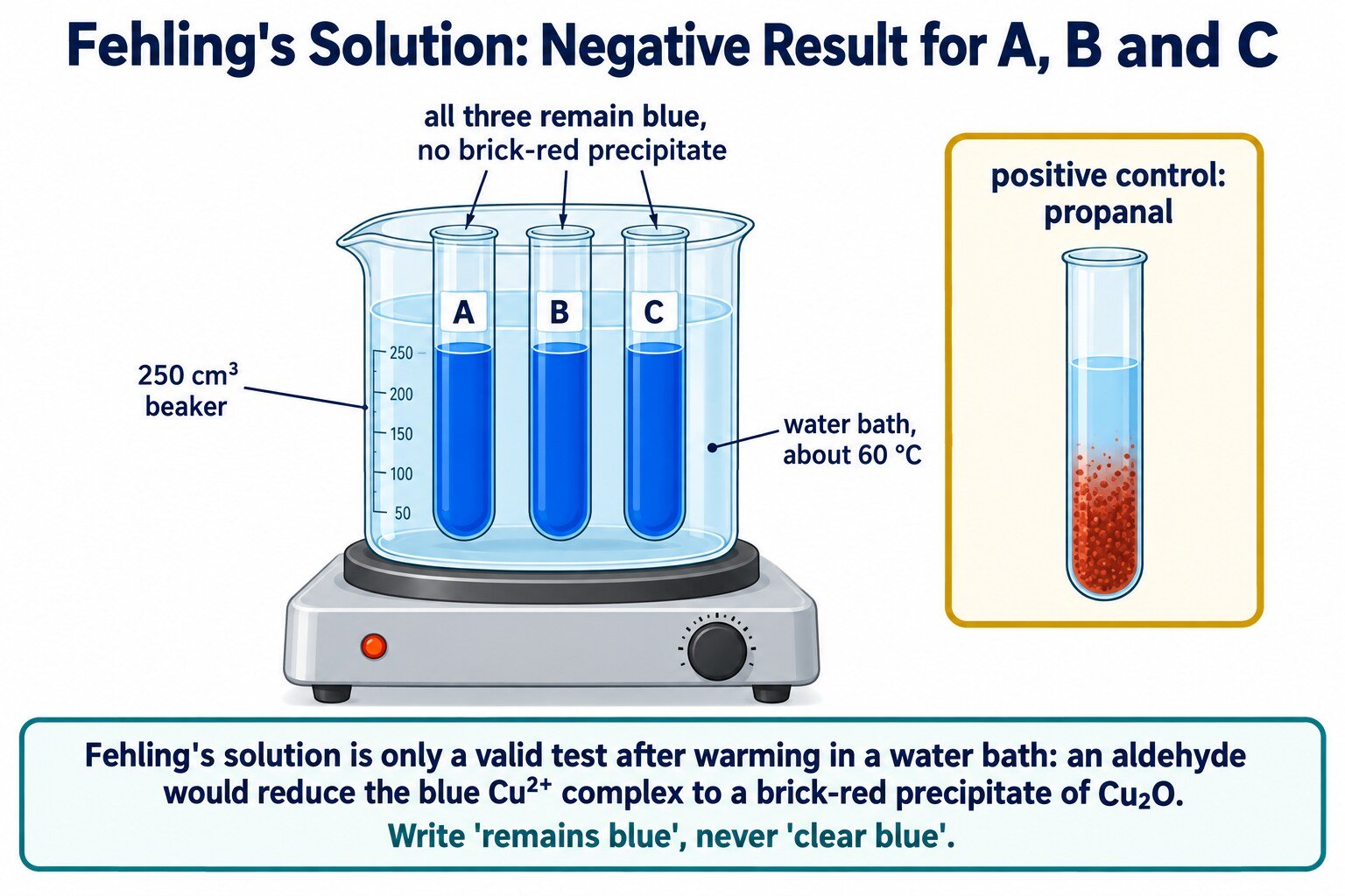 Fehling's solution warmed with A, B and C: all three remain blue