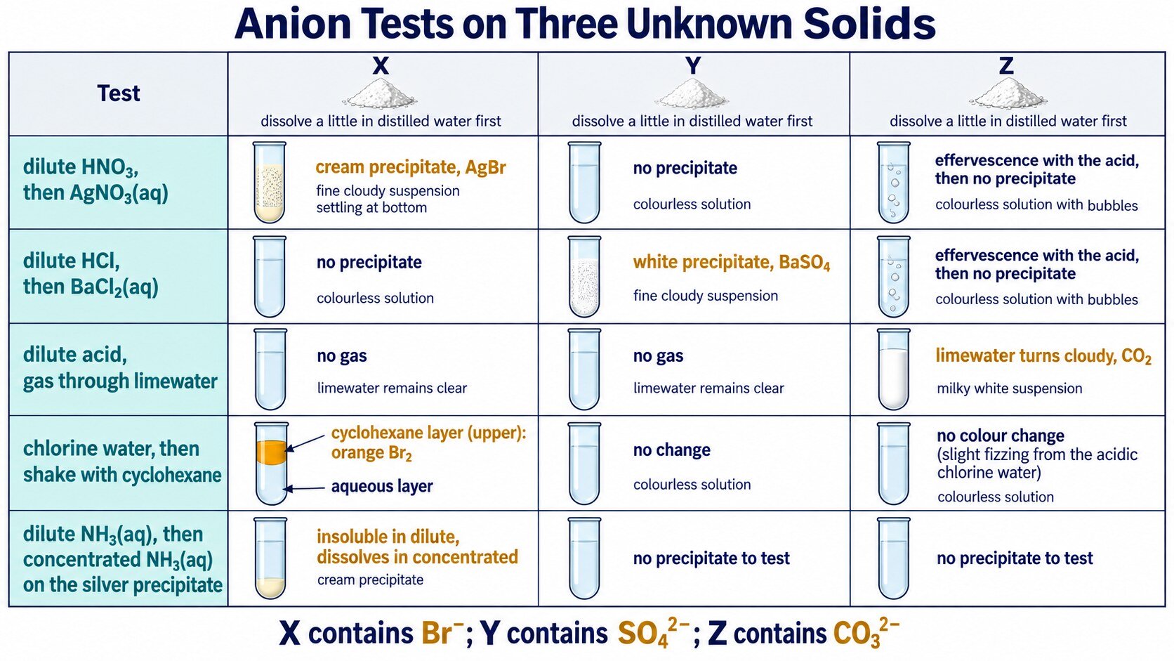 Anion tests on X, Y and Z: silver nitrate, barium chloride, limewater and chlorine water with the cyclohexane layer on top