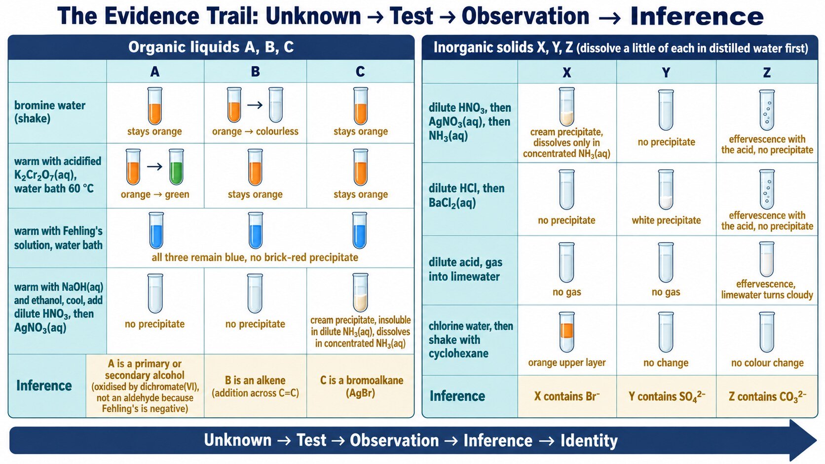 Evidence trail for the six unknowns: unknown, test, observation, inference, identity