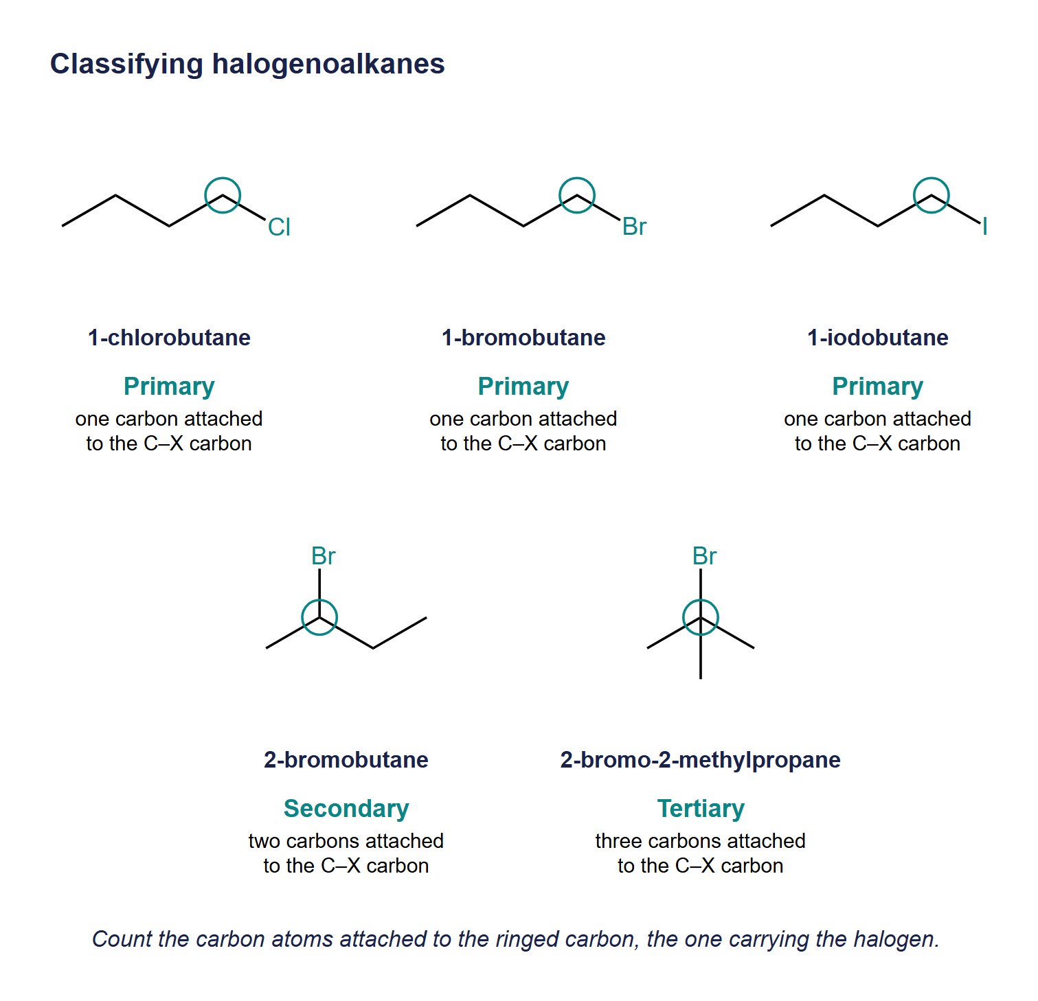 Skeletal formulas of 1-chlorobutane, 1-bromobutane and 1-iodobutane (primary), 2-bromobutane (secondary) and 2-bromo-2-methylpropane (tertiary), with the carbon carrying the halogen ringed