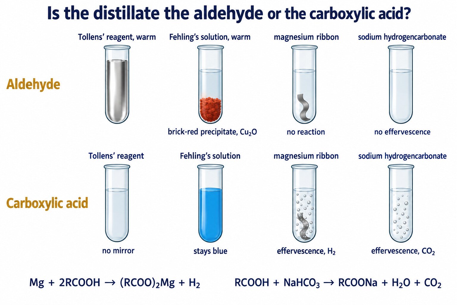 Two rows of four test tubes: aldehyde row (silver mirror, brick-red precipitate, no bubbles with Mg or NaHCO₃) and carboxylic acid row (no mirror, stays blue, bubbles of H₂ and CO₂)