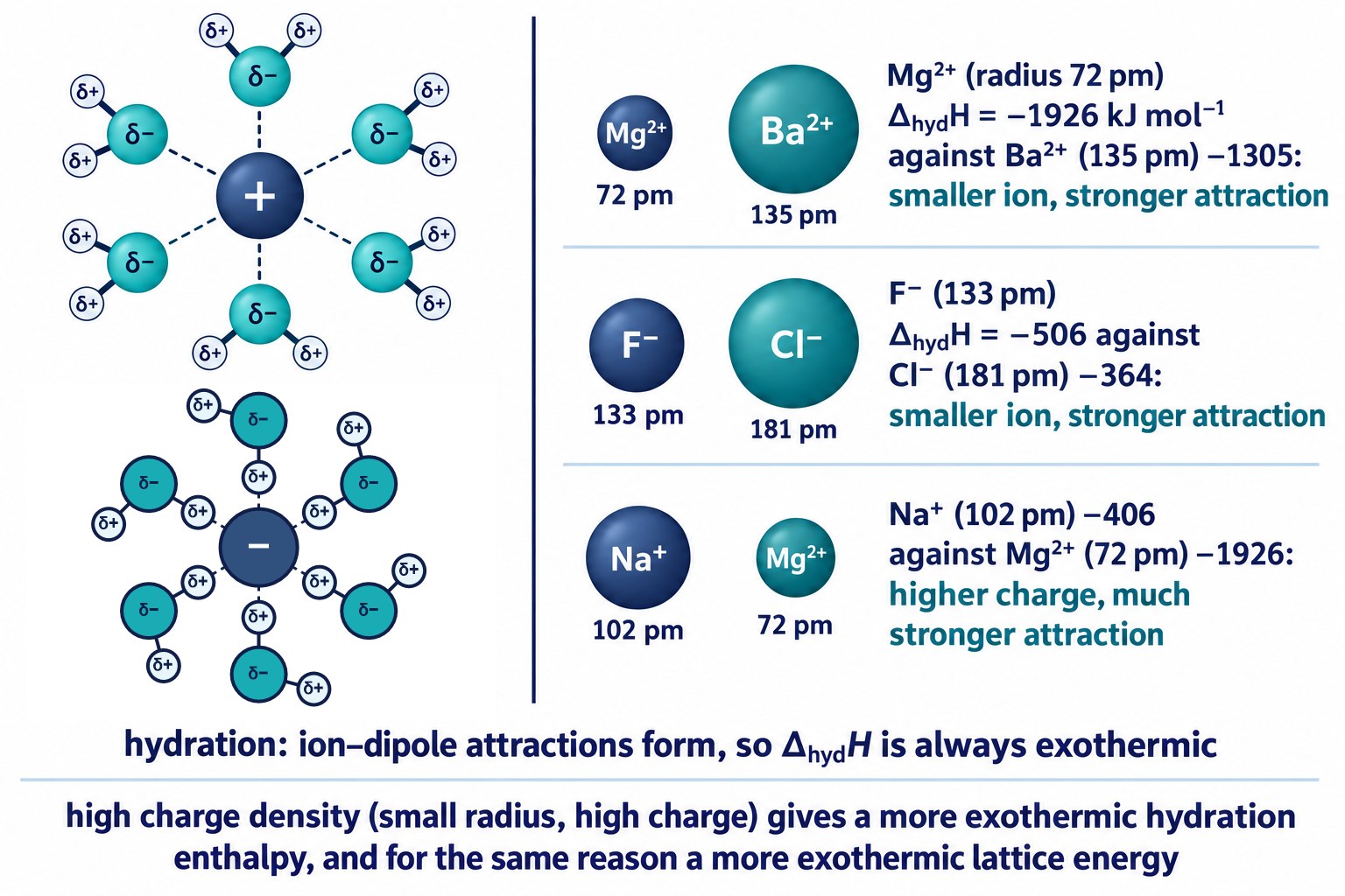 Why hydration enthalpy depends on charge and radius: water molecules orienting their δ− oxygens around a cation and δ+ hydrogens around an anion, with Mg²⁺ against Ba²⁺ and F⁻ against Cl⁻ compared