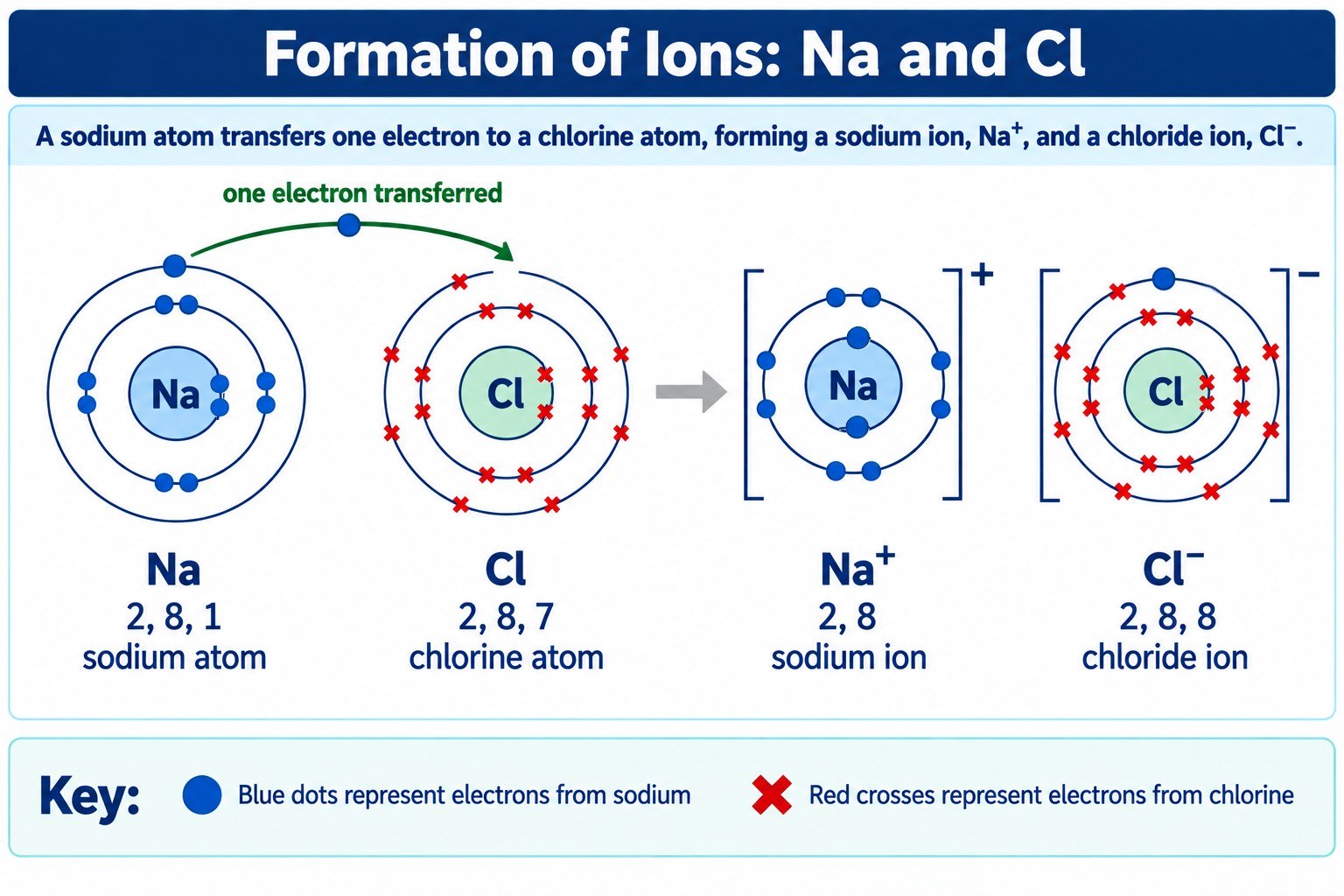 Dot-and-cross diagram: a sodium atom transfers one electron to a chlorine atom, forming Na+ and Cl-.