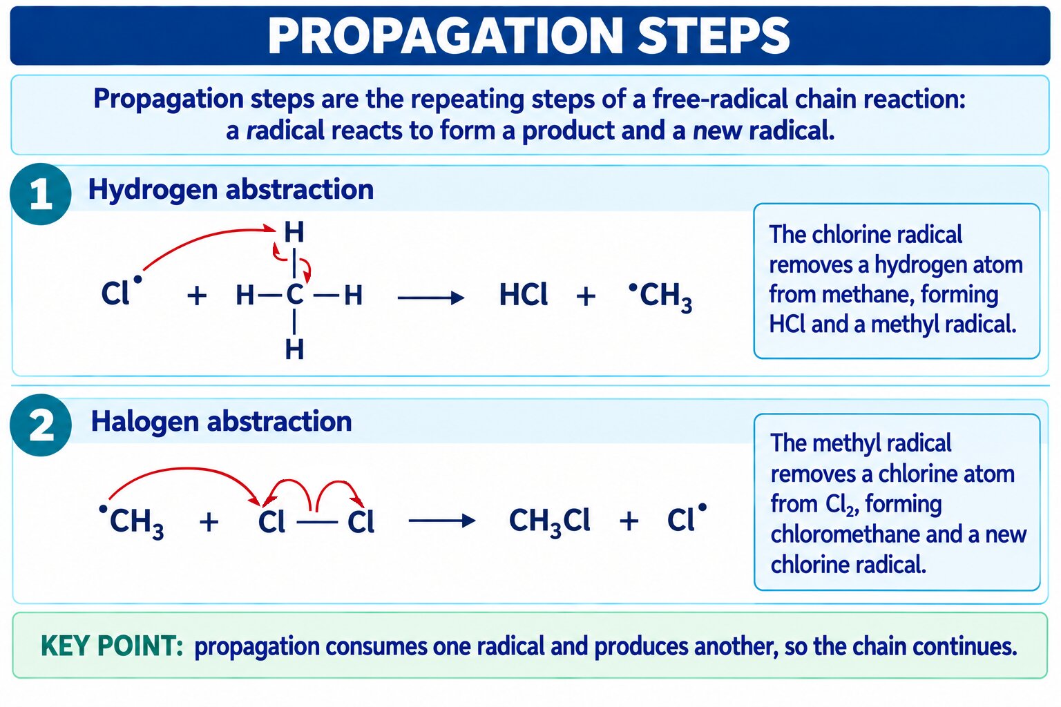 The two propagation steps of free-radical substitution, drawn with single-barbed fish-hook arrows