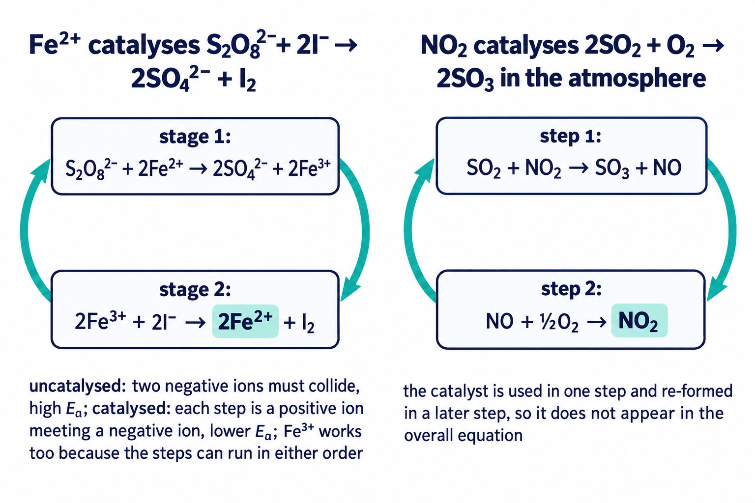Homogeneous catalysis cycles: Fe²⁺ catalysing the reaction of peroxodisulfate with iodide, and NO₂ catalysing the oxidation of SO₂
