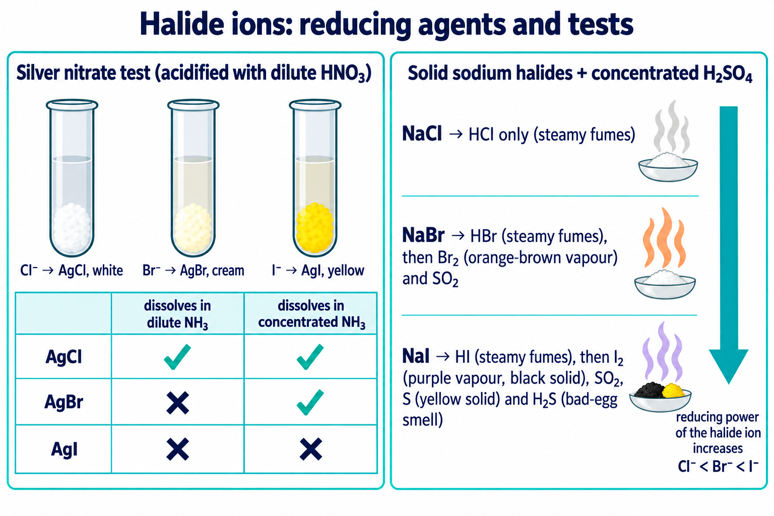 Silver nitrate test for halide ions and the reactions of solid sodium halides with concentrated sulfuric acid