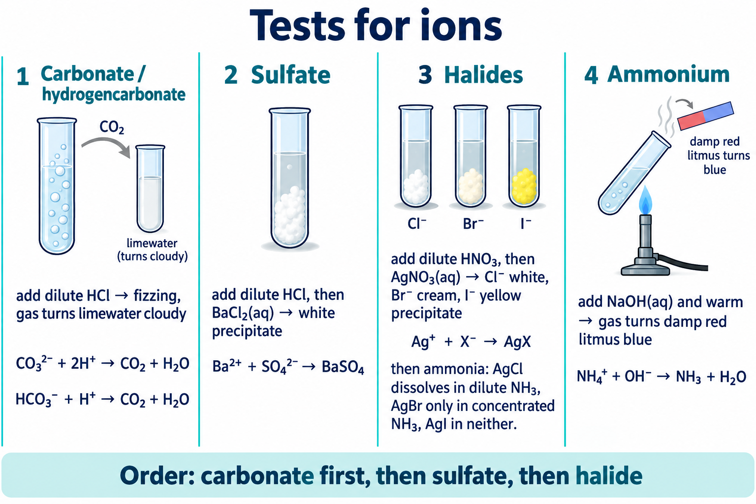 Test-tube tests for carbonate, sulfate, halide and ammonium ions with ionic equations
