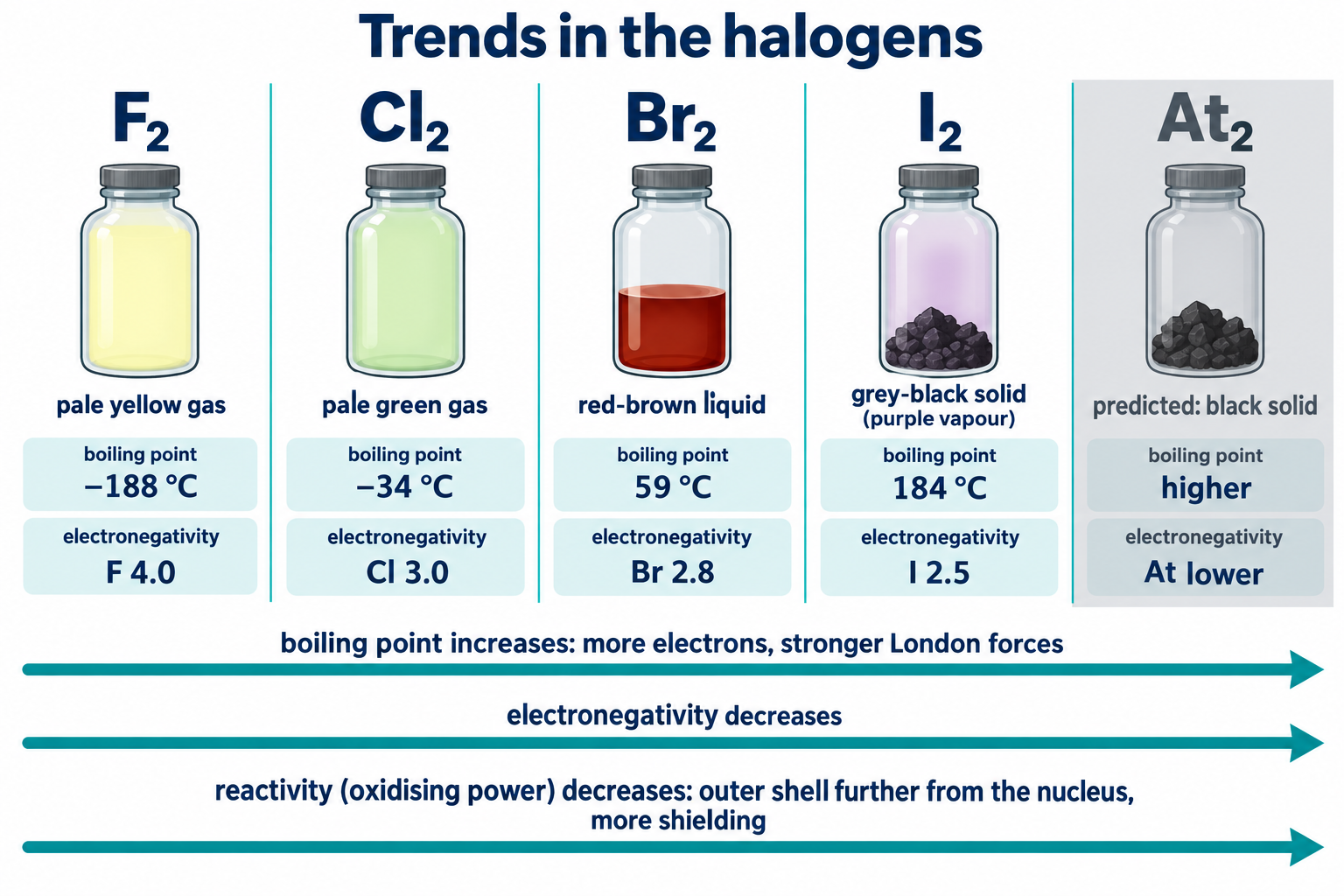 Trends in the halogens: state, colour, boiling point and electronegativity