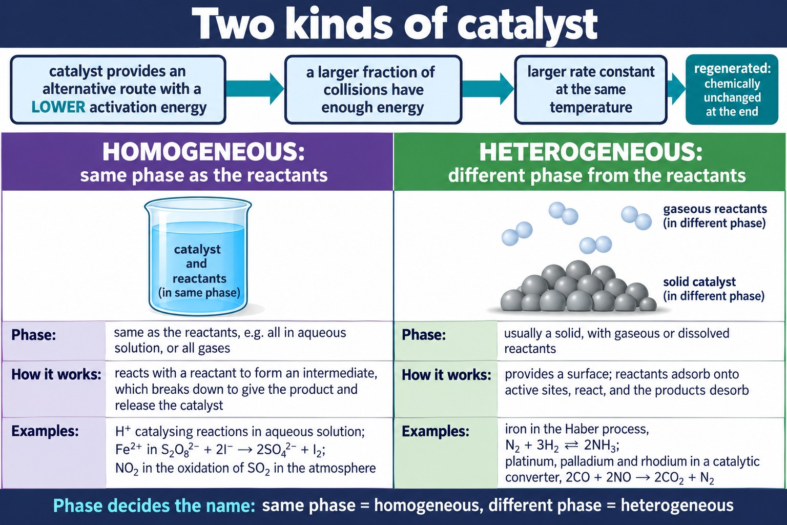 Two-column poster comparing homogeneous and heterogeneous catalysts by phase, mechanism and examples.