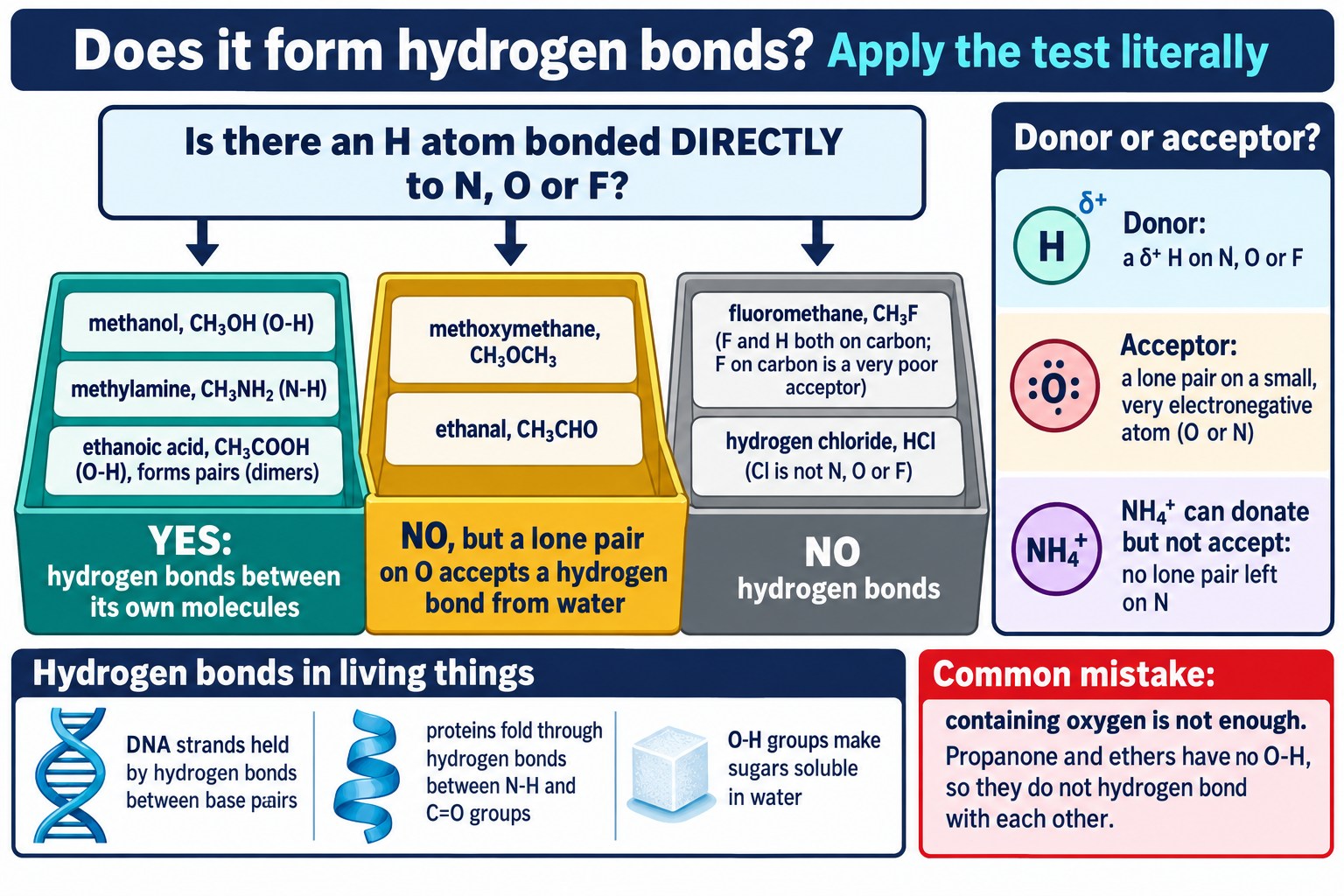 Seven molecules sorted into hydrogen bonding, accepting only from water, or no hydrogen bonding, with donor and acceptor notes.