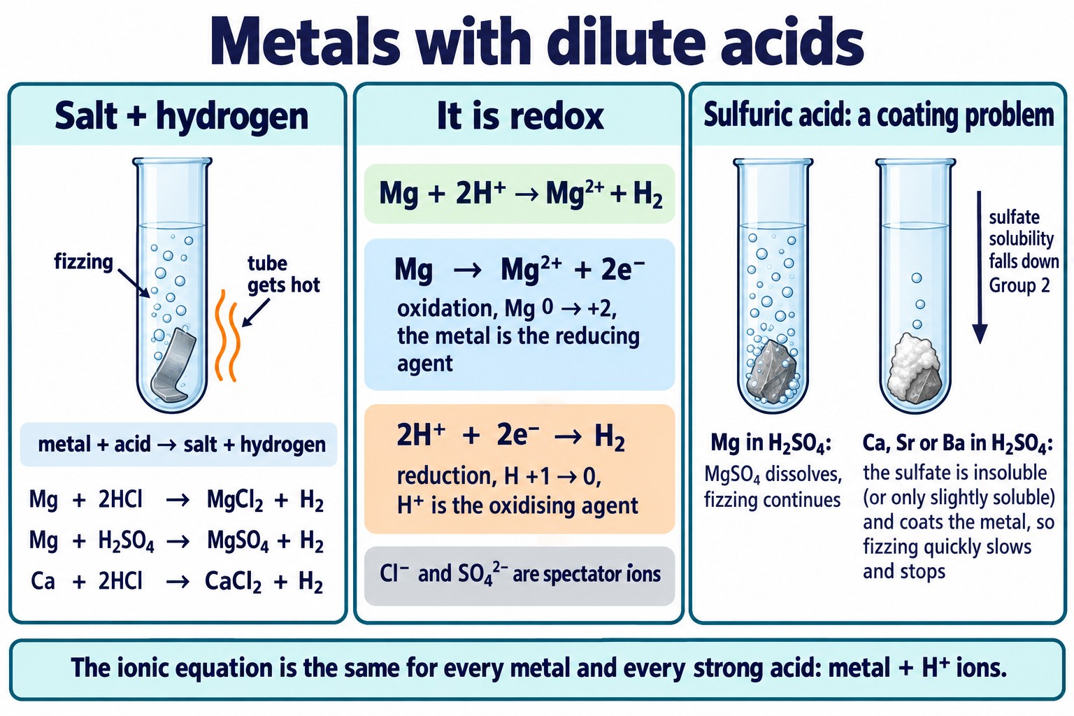 Poster of s-block metals with dilute acids: equations, half-equations and an insoluble sulfate coating with sulfuric acid.