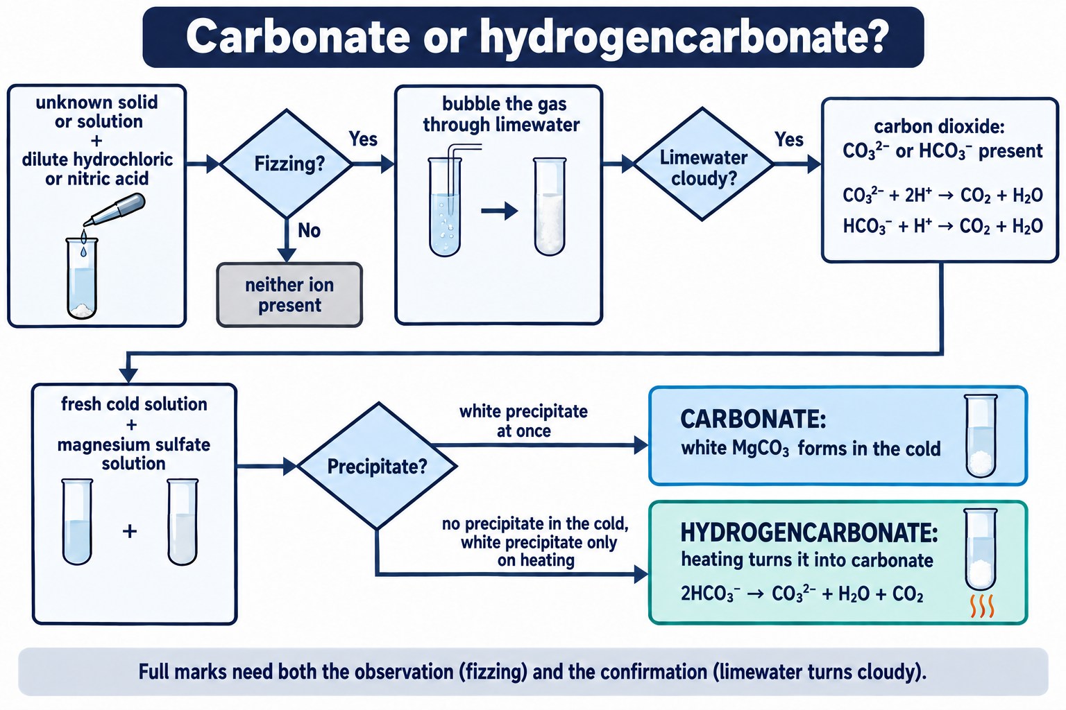 Decision tree using acid, limewater and magnesium sulfate to identify carbonate and hydrogencarbonate ions.