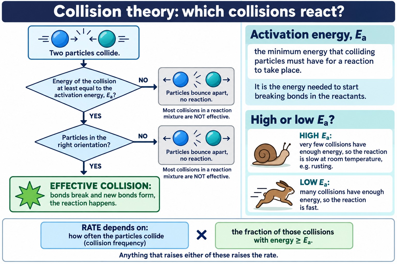 Flow chart deciding whether a collision is effective, with activation energy defined and high and low Eₐ compared.